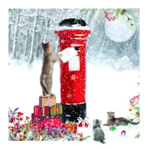 Cat Postie -  Christmas Cards