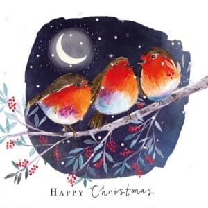 We Three Robins - Christmas cards